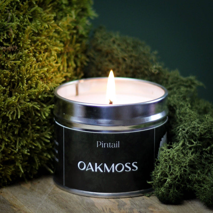 Oakmoss Classic Tin Candle from Pintail Candles with earthy aroma of fresh rain, handmade in Cumbria, available at Source for the Goose Devon.