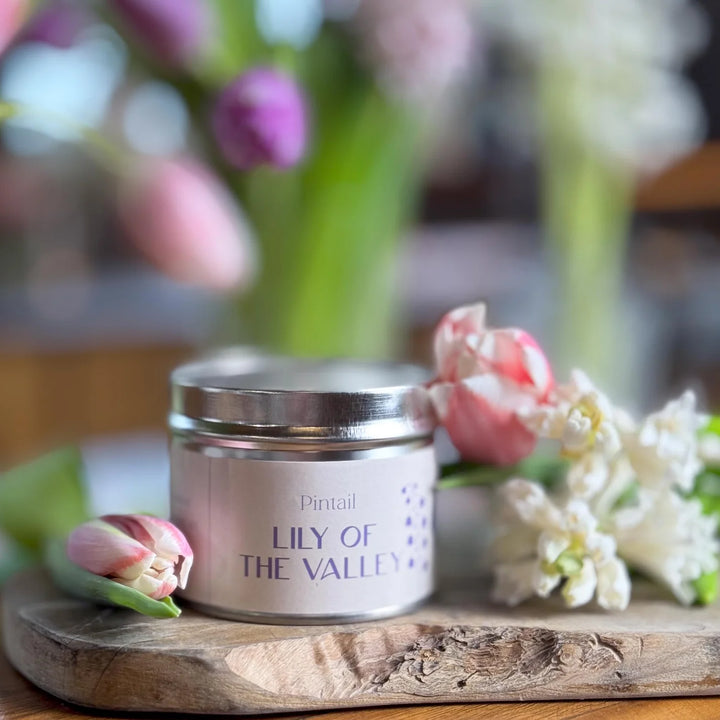 Single Wick Lily of the Valley Pintail Candle for sale at Source for the Goose, Devon