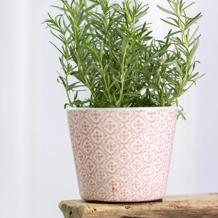 Rose Pink Dutch Style Vintage Flowerpot from Source for the Goose Devon, featuring lush herbs for a charming decor.