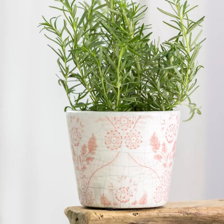 Rose Pink Dutch Style Vintage Flowerpot with herbs, a charming addition to any kitchen, from Source for the Goose, Devon.