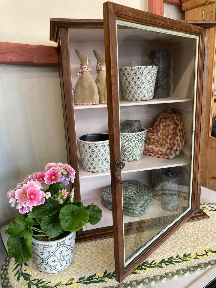 Small vintage glass cabinet with shelves displaying decorative items and a potted flower, sourced from Source for the Goose, Devon.