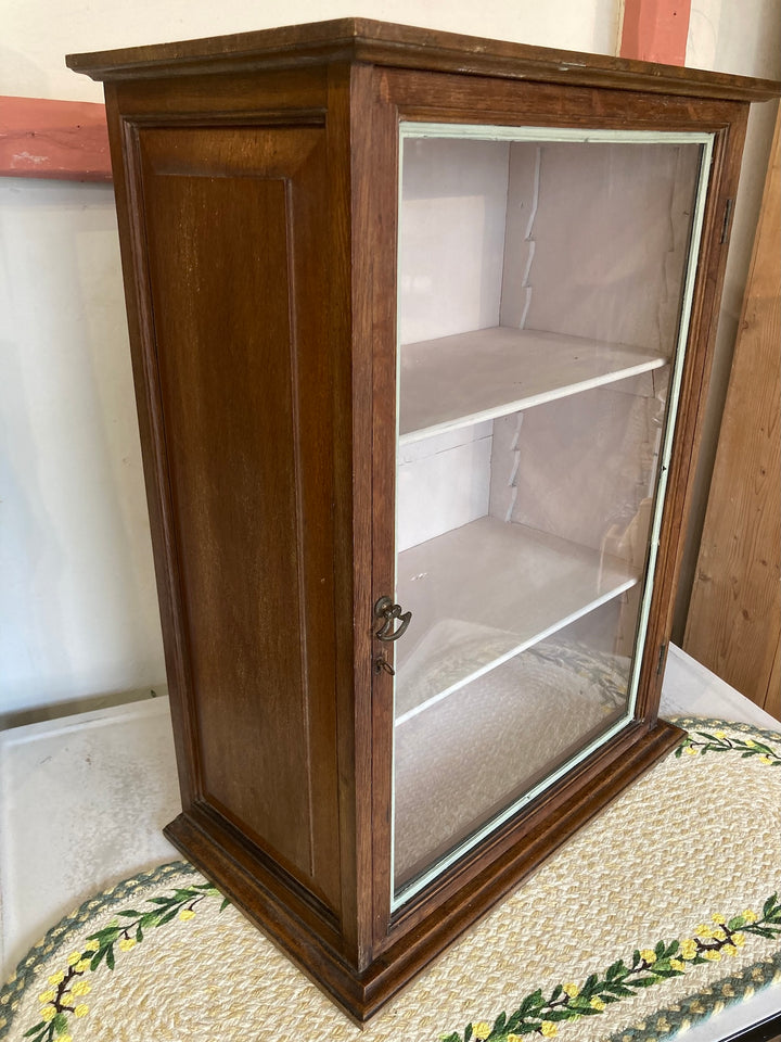 Small vintage glass cabinet with shelves, oak exterior, painted interior, stylish display from Source for the Goose, Devon.