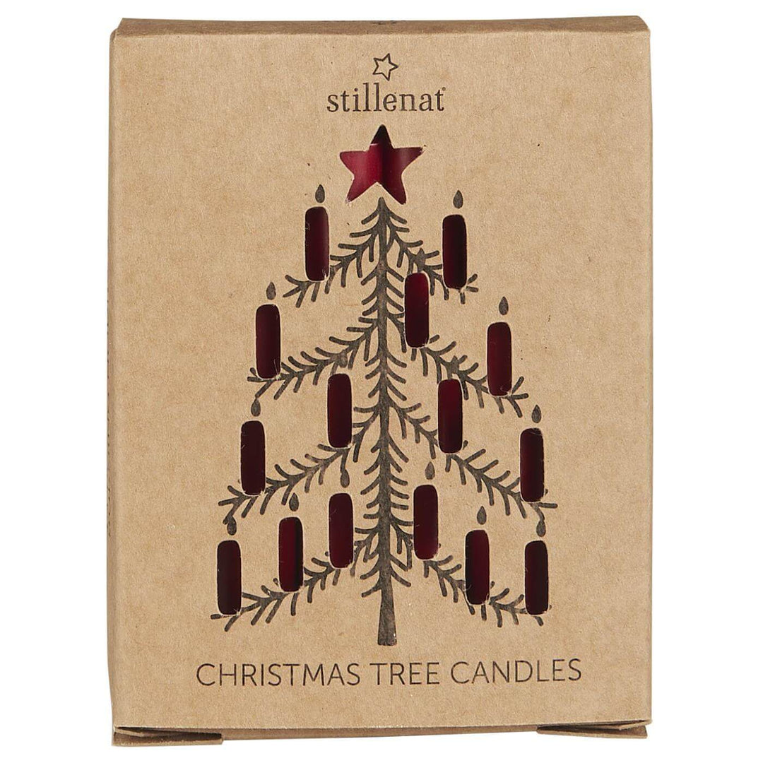 box of 12 festive taper candles at Source for the Goose, Devon