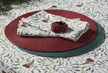 Festive Robin & Mistletoe Napkins on decorative placemat, Source for the Goose Devon, perfect for Christmas dining.