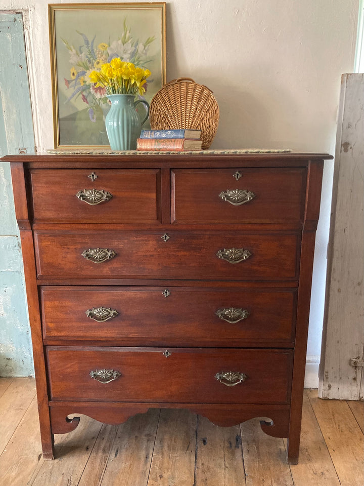 Tall Two over Three Edwardian Chest of Drawers from Source for the Goose, Devon, featuring brass handles and elegant design.